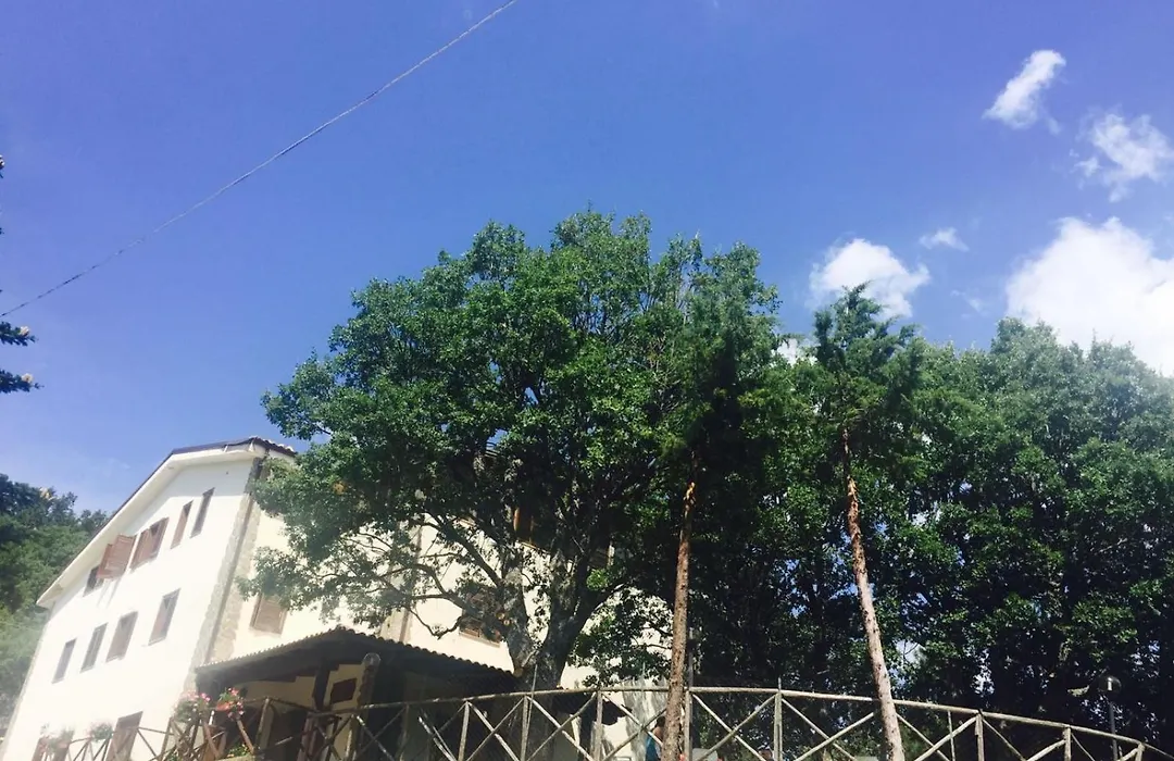 Ambrosiahostel-1